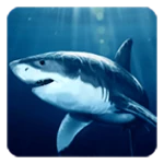 Logo of Shark Live Wallpaper android Application 